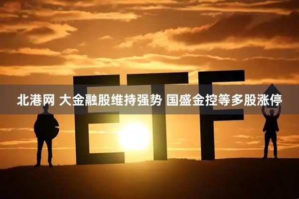 北港网 大金融股维持强势 国盛金控等多股涨停