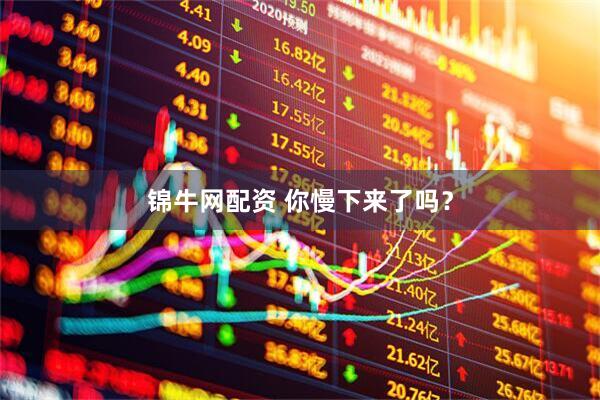 锦牛网配资 你慢下来了吗？